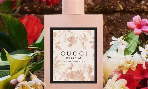 gucci bloom a que huele|gucci bloom 2017.